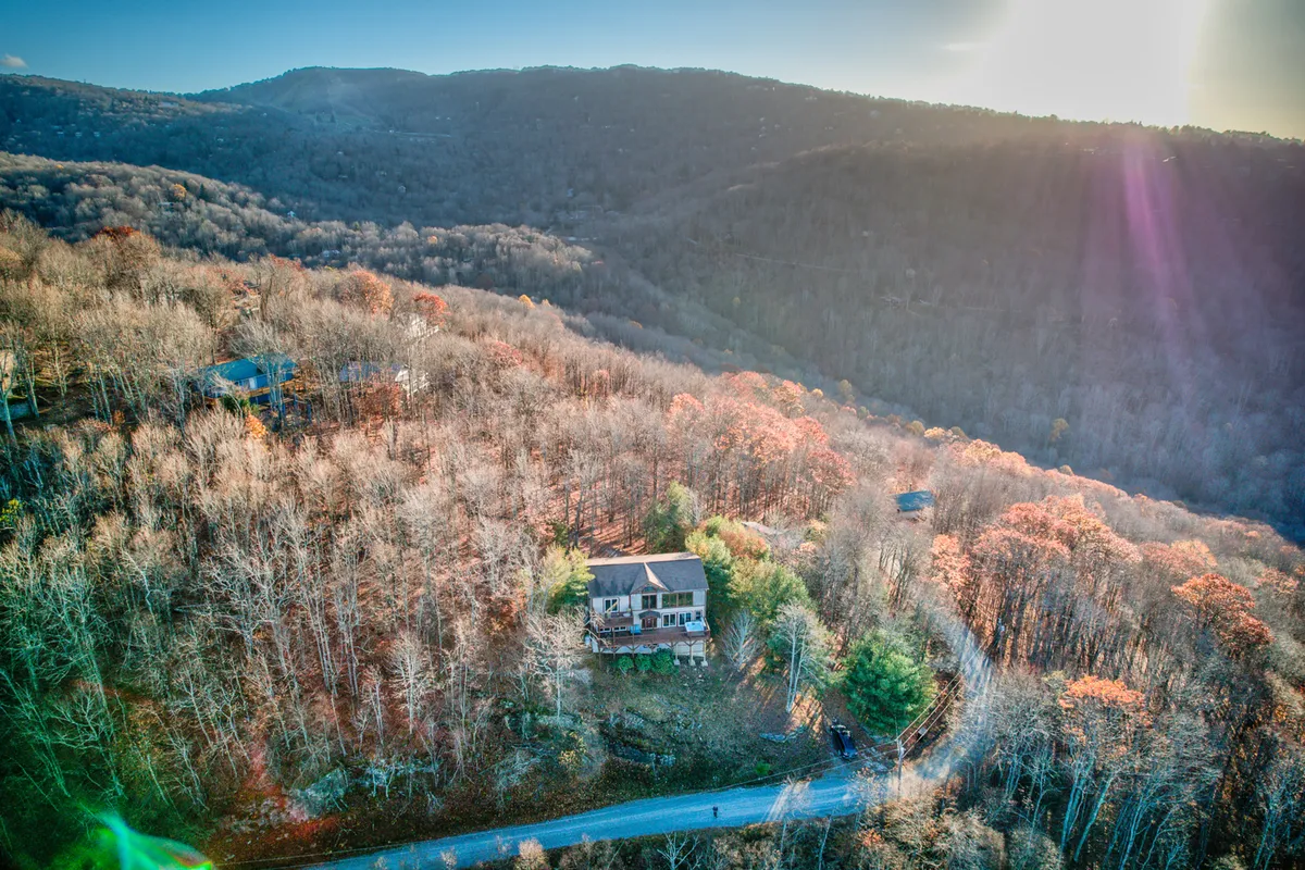 An exterior view of the house nestled among trees, with a winding road leading through the surrounding natural landscape. The scene suggests direct access to nature and walking paths, making it ideal for on-leash mountain walks and exploration with pets.