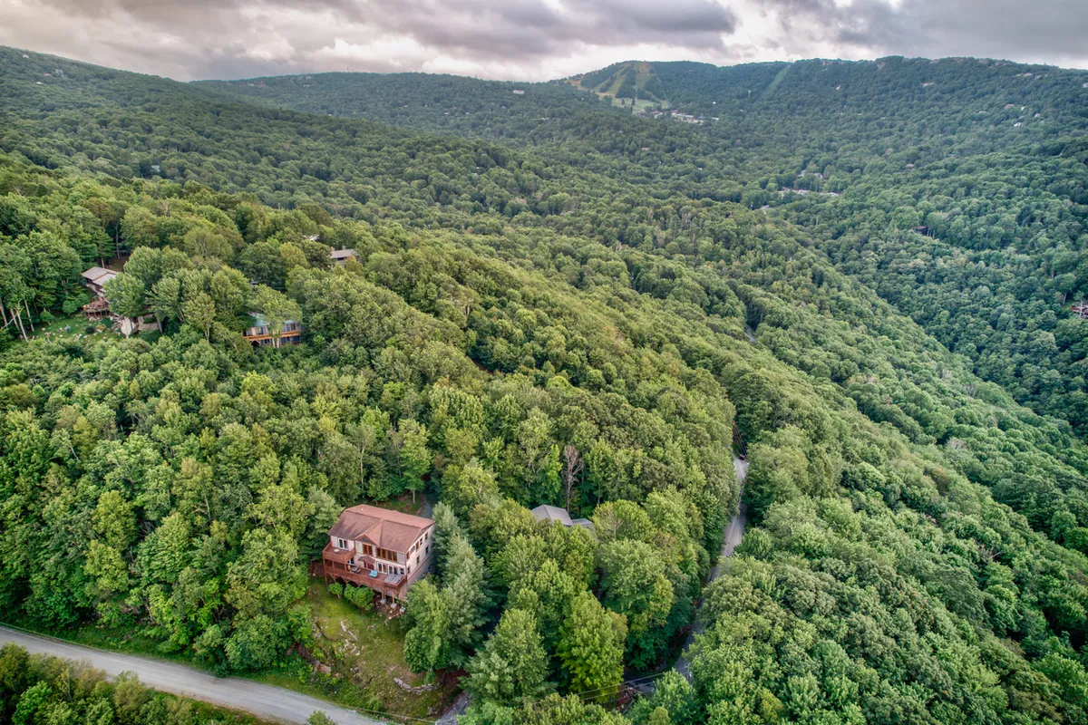 The main house is nestled amid tall trees, with a winding road leading through the surrounding natural landscape. The view suggests easy access to trails and opportunities for exploration right from the doorstep, with the house visually anchored in its wilderness setting.