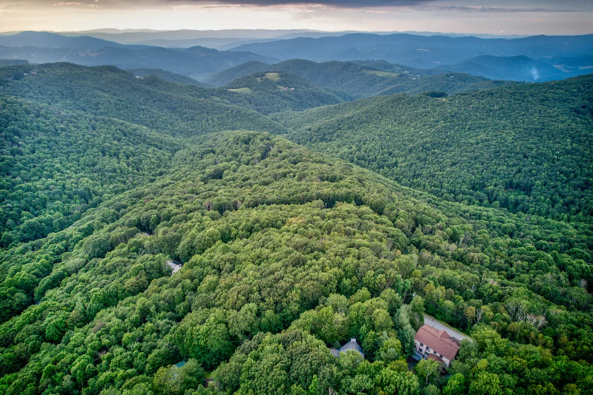 A sweeping view over a dense forest canopy, with distant mountains rising on the horizon and a few isolated homes peeking through the trees. The setting sun casts warm light over the landscape, inviting thoughts of peaceful hikes, stargazing, and sunset watching.