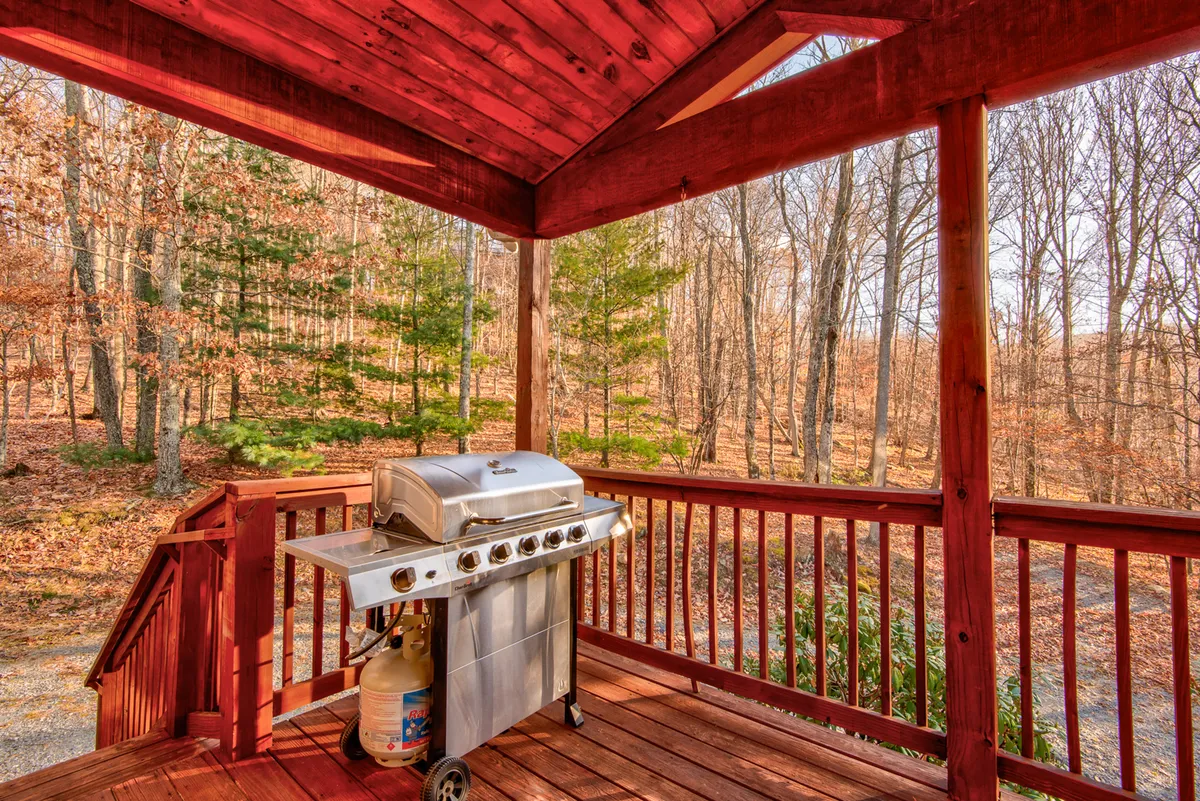 An exterior shot featuring a wooden deck with a grill and seating area, enveloped by lush green trees. The space is designed for social gatherings, barbecues, and enjoying the surrounding nature.